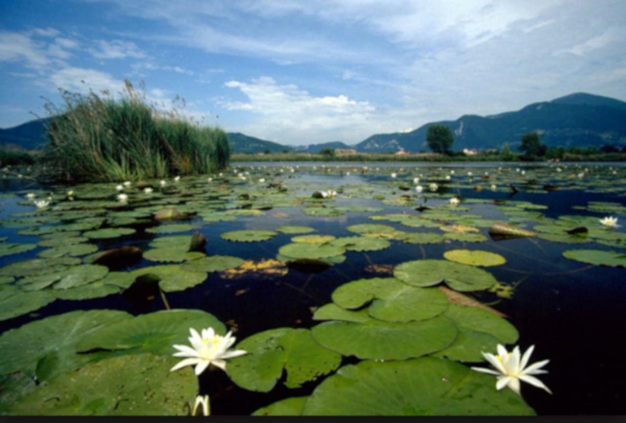 Iseo Lake Home Nature & Relax ภายนอก รูปภาพ